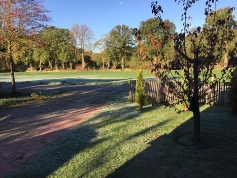 Blick aus dem Wohnzimmerfenster in die Natur