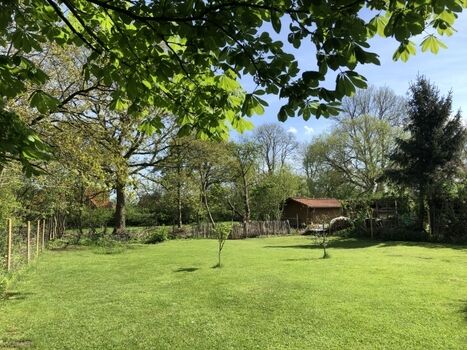 Blick in den hinteren, umzäunten Garten