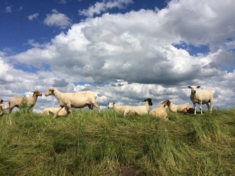 in der Nachbarschaft