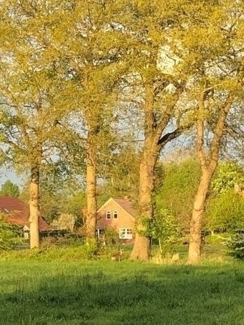 Wunderschöne Lage am Dorfrand. Gerne auch mal mit Rehbesuch.