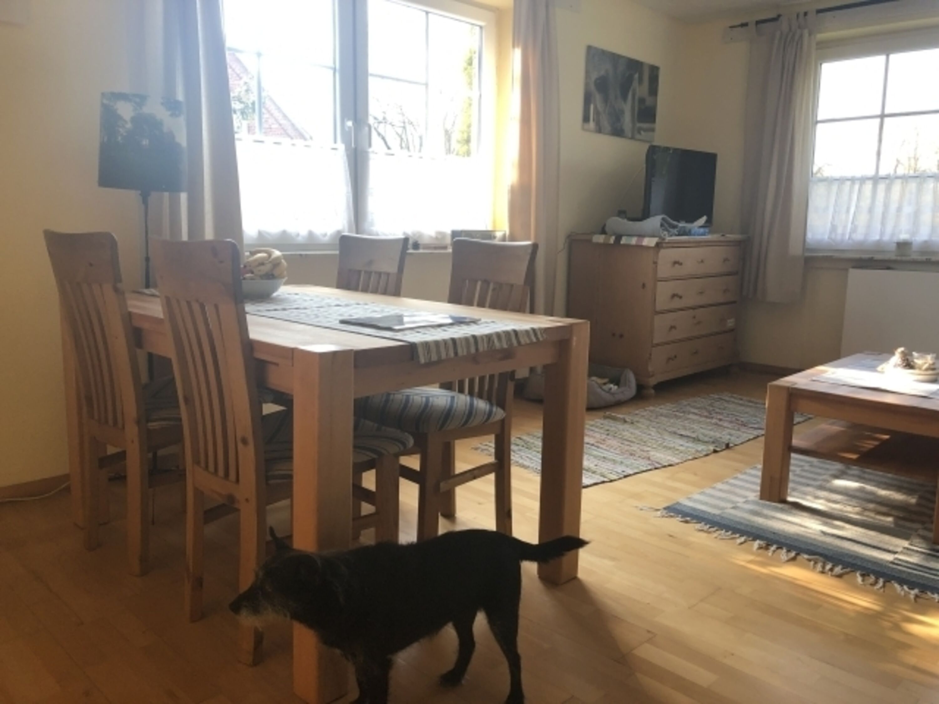 der Essbereich (der Hund gehört nicht zur festen Ausstattung :-) )
