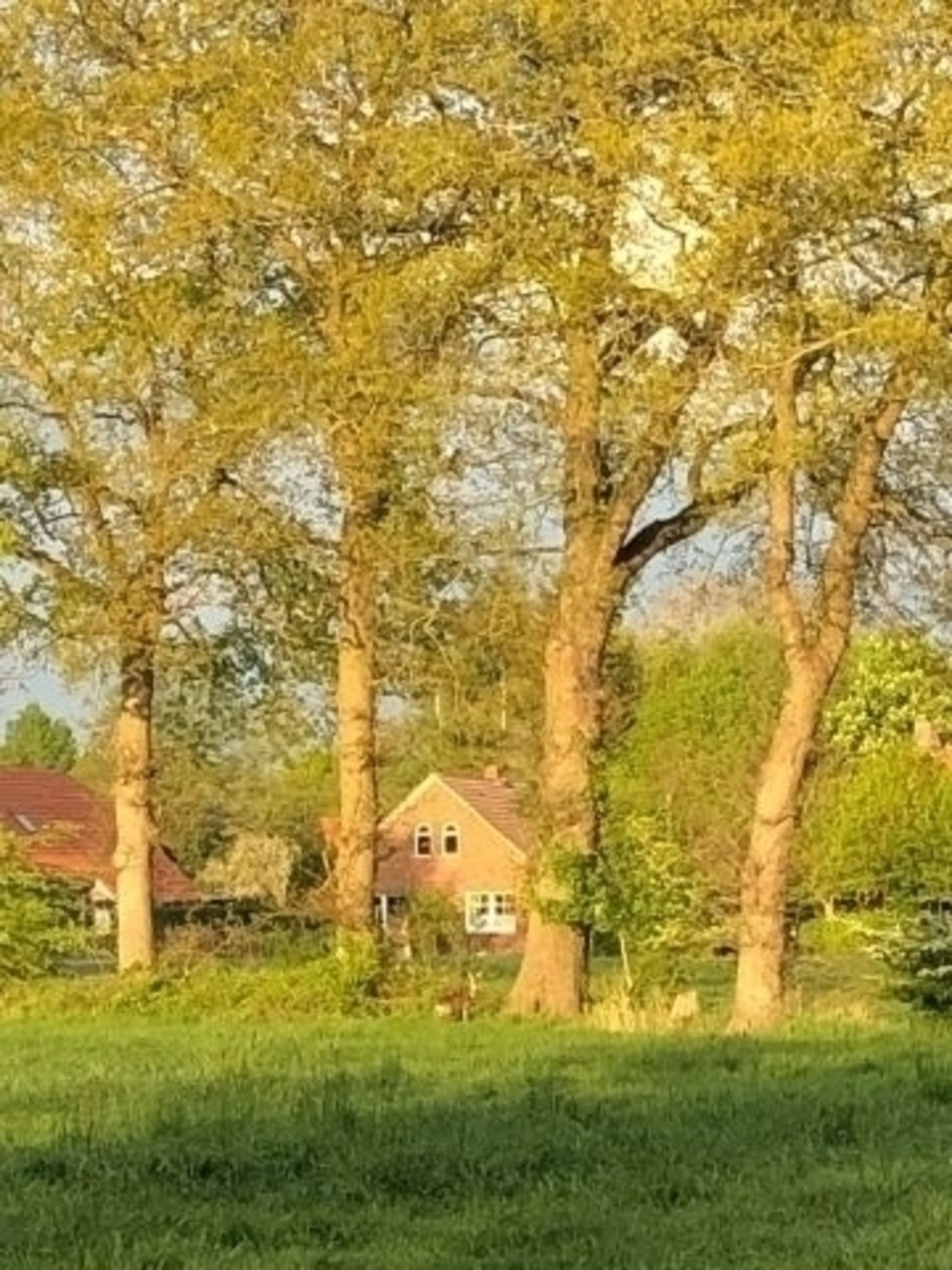 Wunderschöne Lage am Dorfrand. Gerne auch mal mit Rehbesuch.