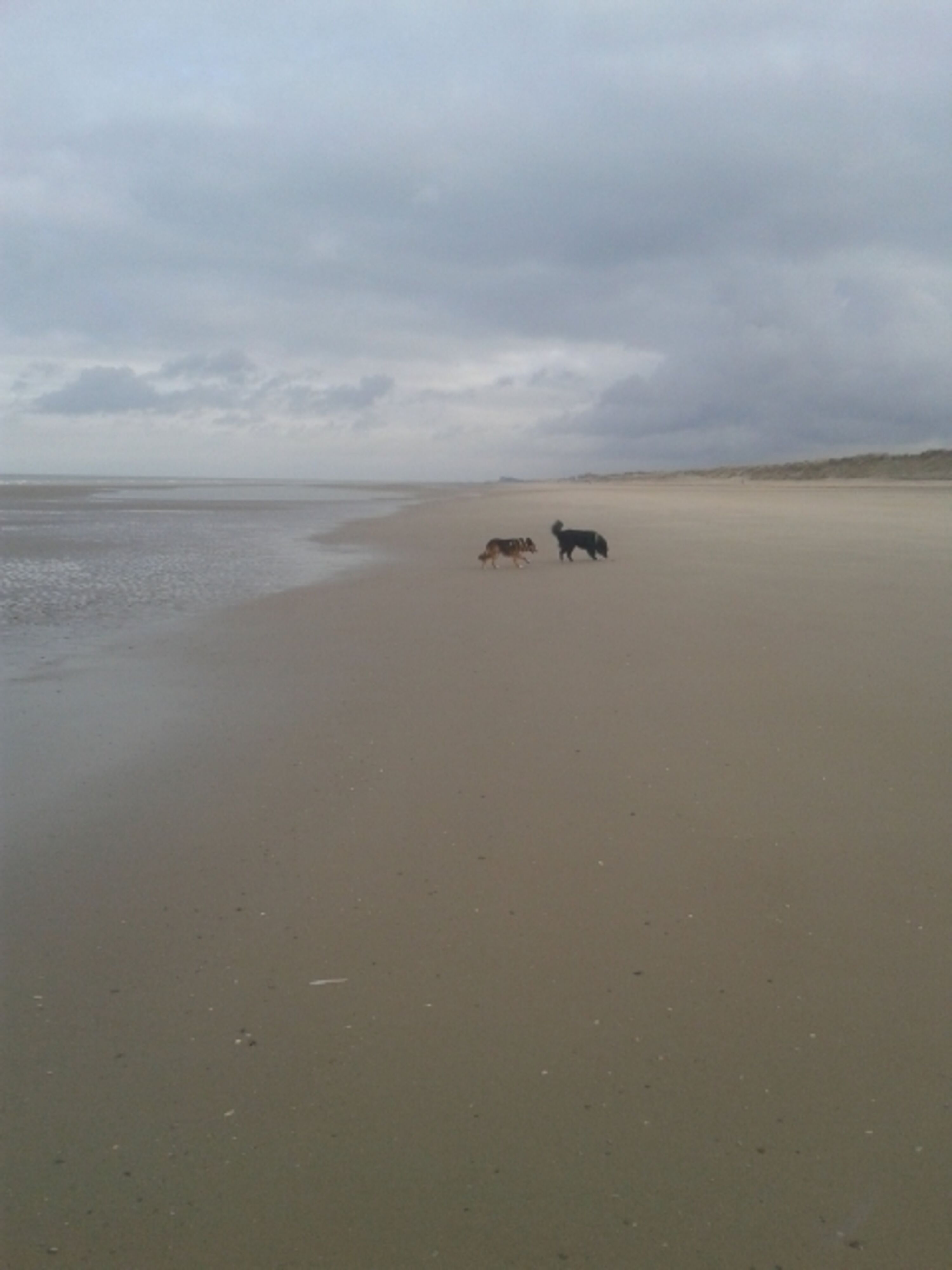 weites Land