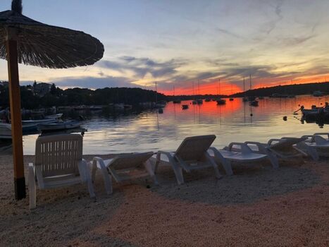 Lila Vincuran/kastanienbraune Welle Aufgenommen von Madame Hannah