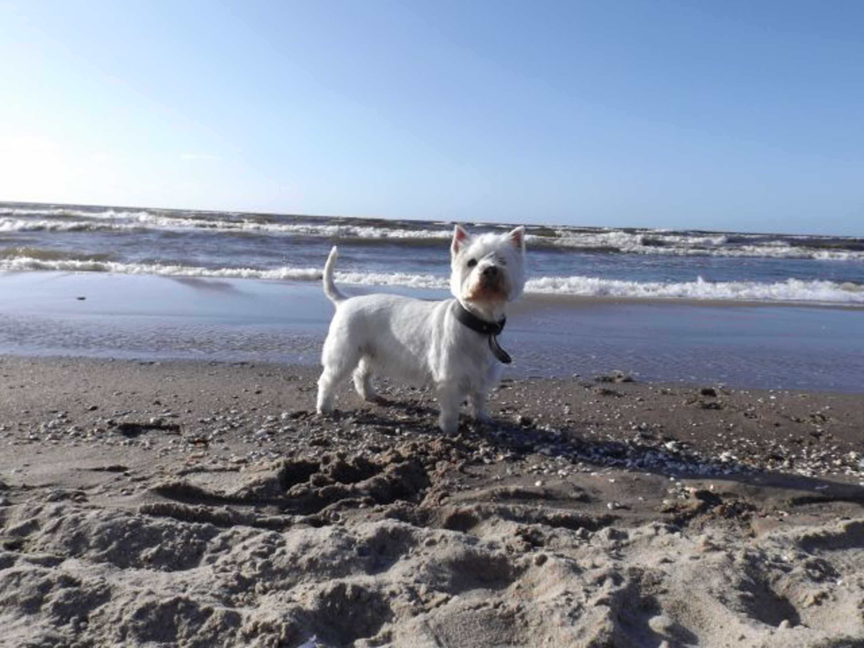 Bild 18