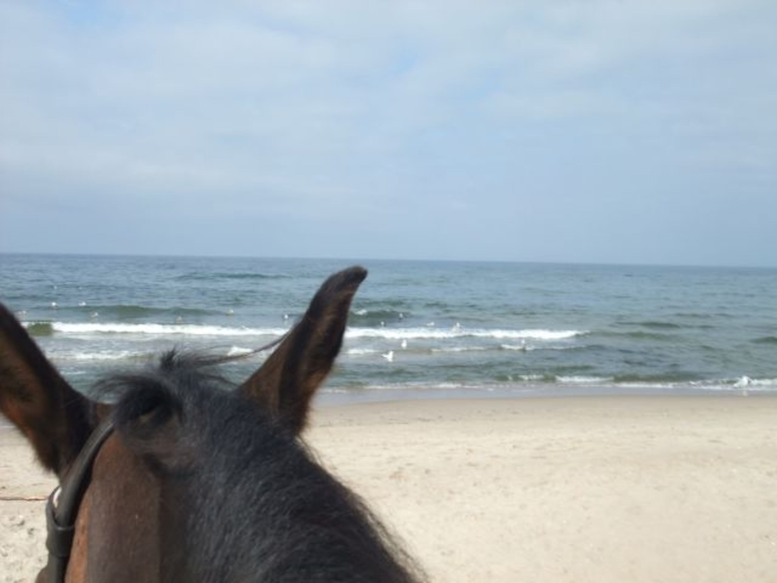 Bild 19
