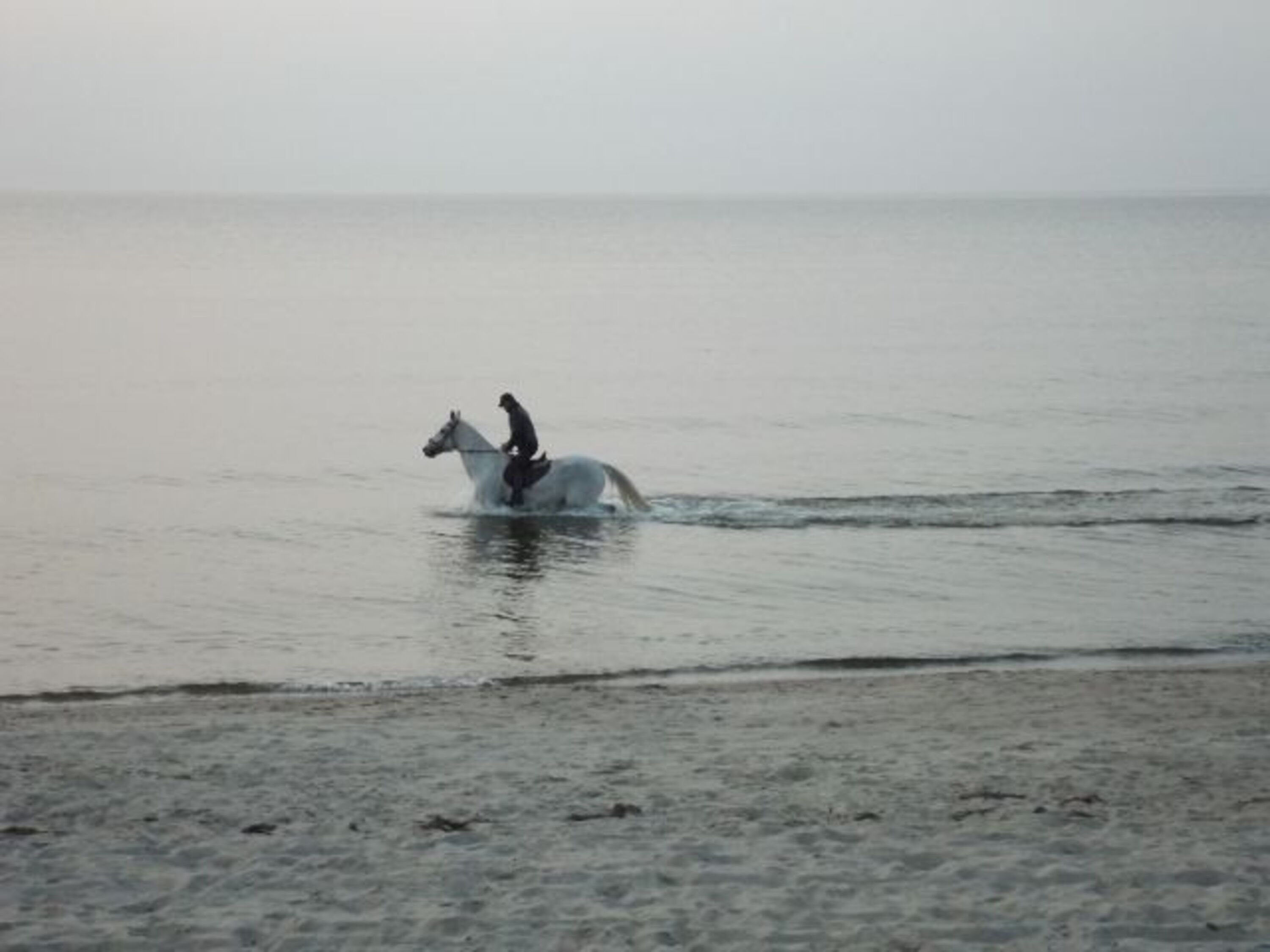 Bild 16