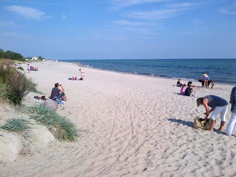 Zusätzlich können Sie z.B. den Grömitzer Hundestrand nutzen, welchen Sie per Auto in 10 Minuten erreichen. Dort finden Sie ebenfalls einen tollen Sandstrand, welcher aber etwas voller ist als unser Hundestrand.