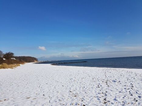 Zu Jeder Jahreszeit ist es schön hier. Frühling, Sommer, Herbst und Winter. Gerade in den Zeiten ausserhalb der Sommersaison können Sie die Umgebung als Hundebesitzer besonders geniessen, da hier nur sehr wenige Menschen sind und der Strand komplett für H