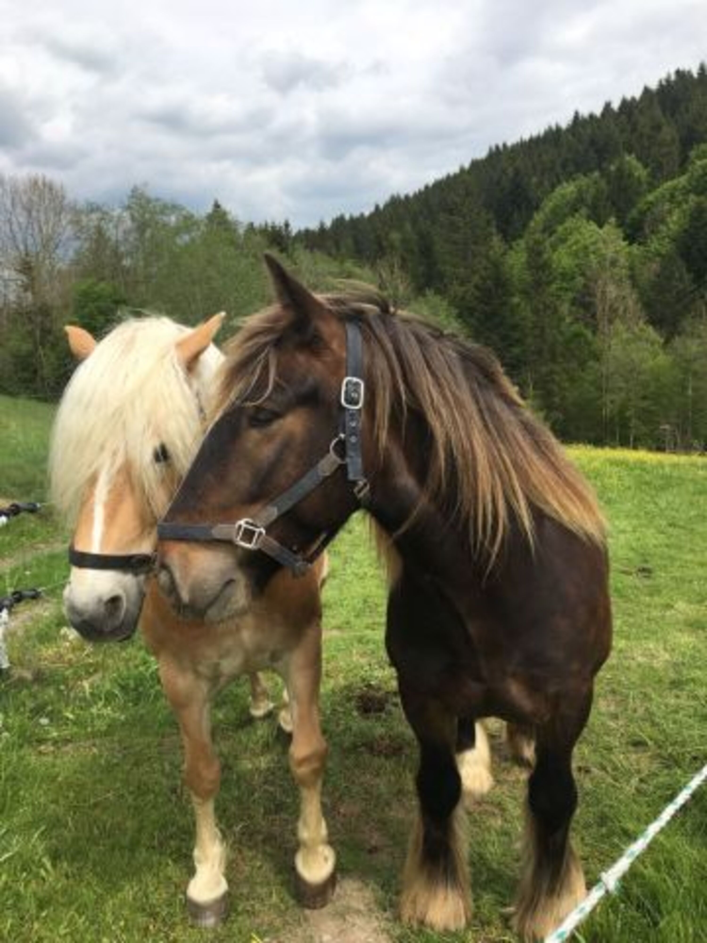 Bild 16