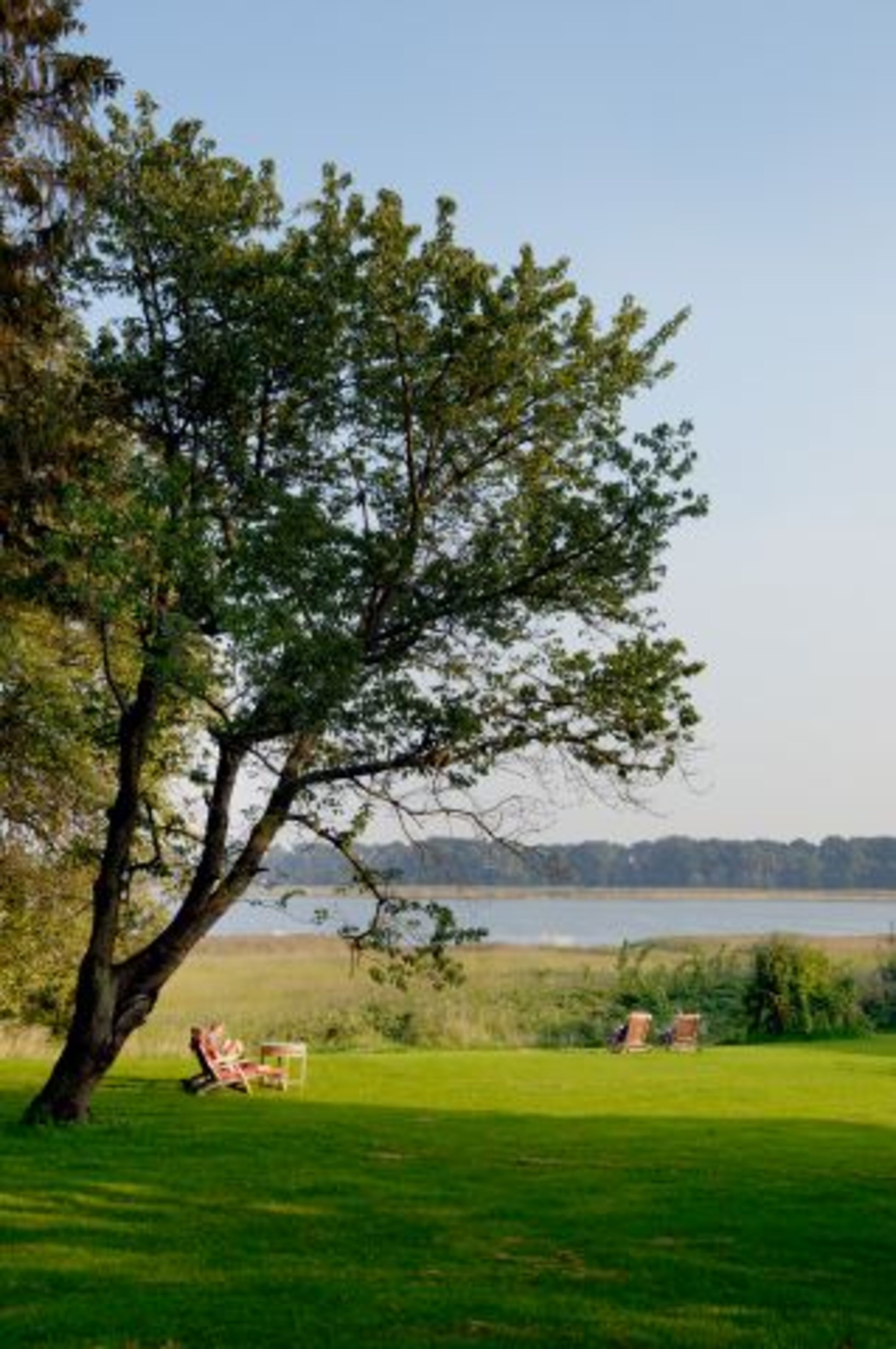 Der große Garten