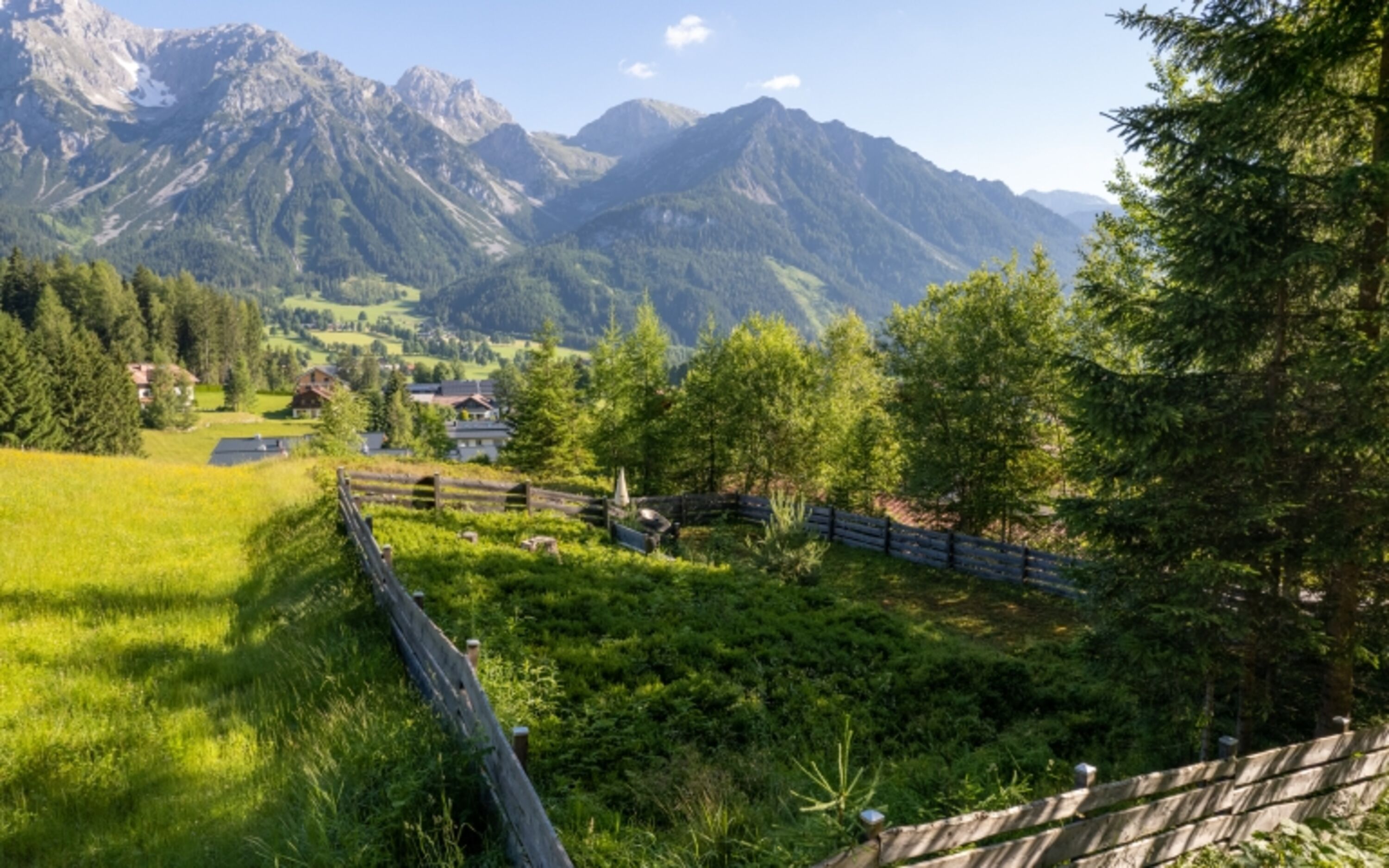 Bild 12