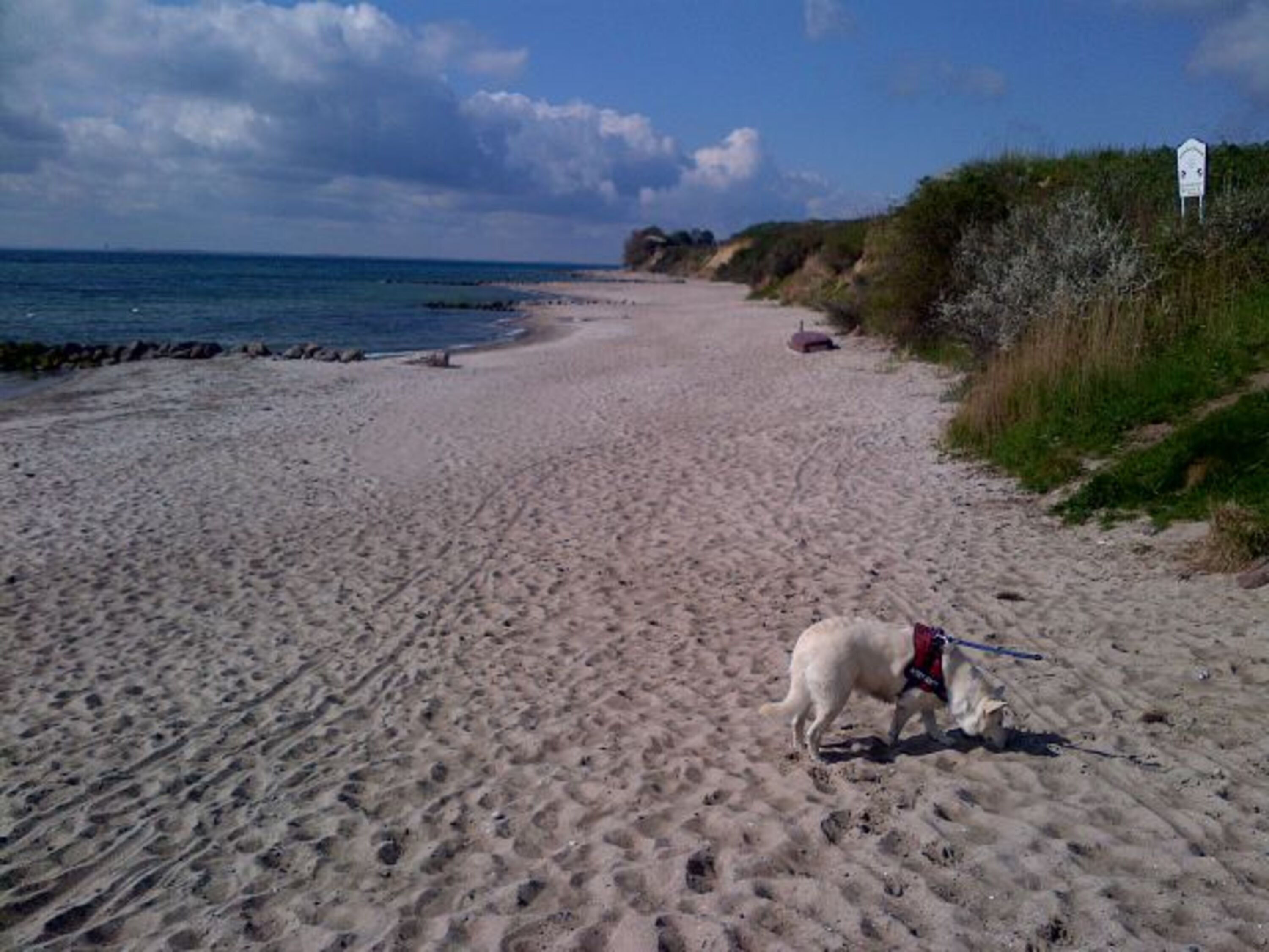 Der Hundestrand befindet sich direkt am 2-3 Minuten vom Haus entfernten Strand. Was will man mehr?