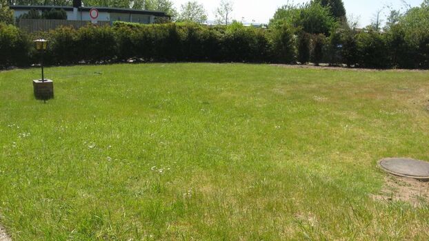 Großes eingezäuntes und eingewachsenes Grundstück. Perfekt für Hunde.