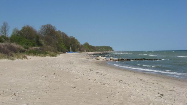 Hier können Sie nach Herzenslust mit Ihrem Hund laufen, laufen, laufen und baden, baden, baden...