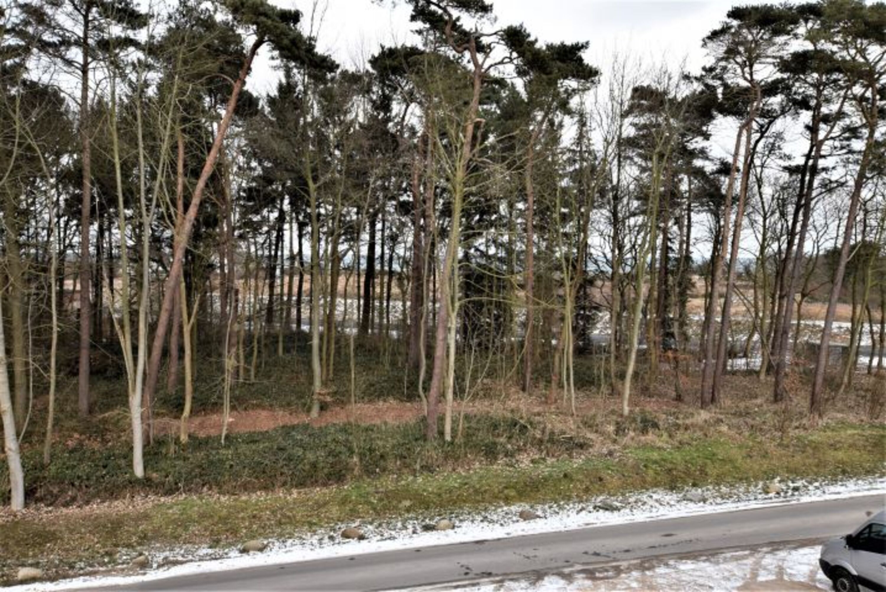 Bild 16