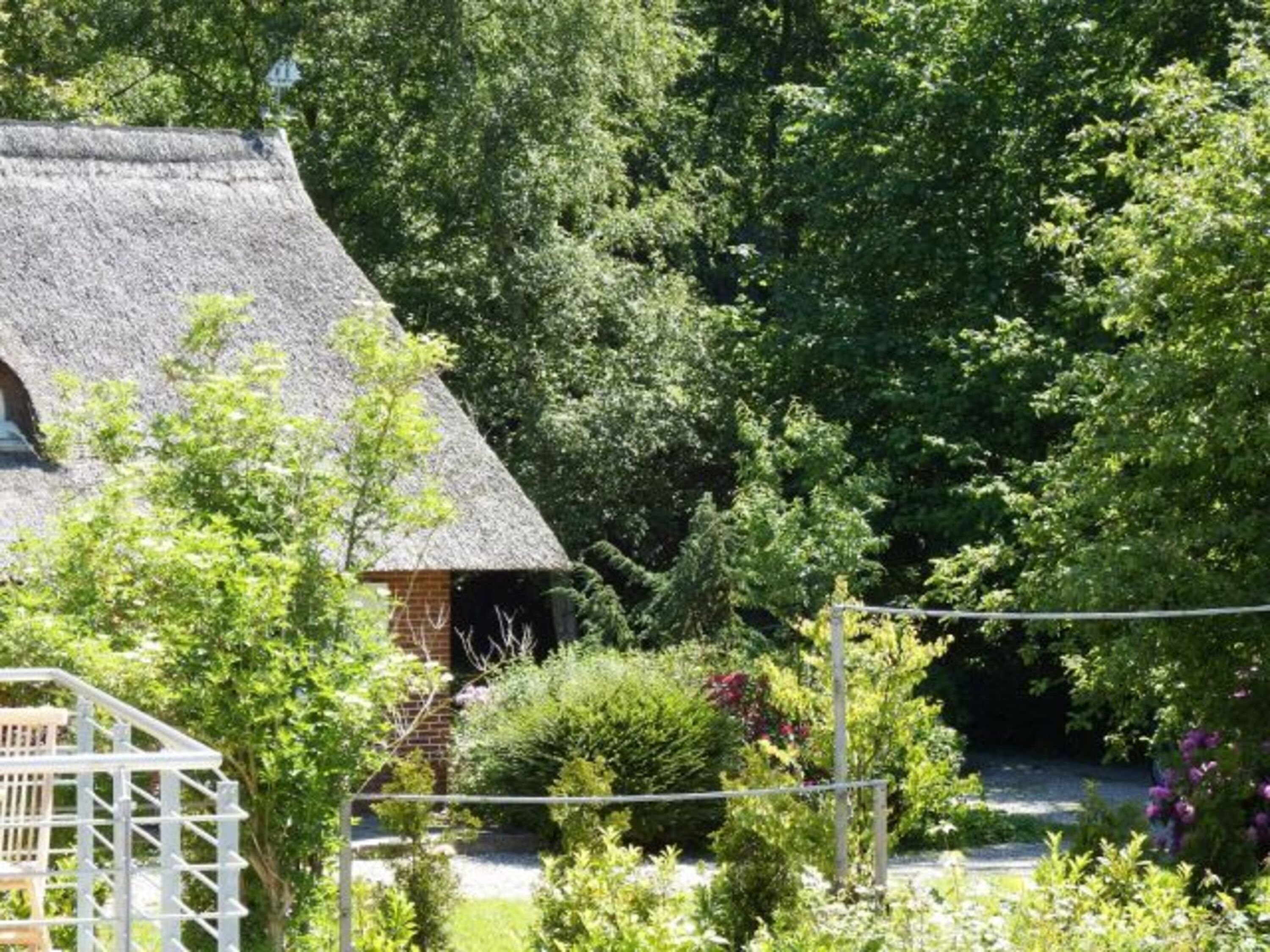Bild 17
