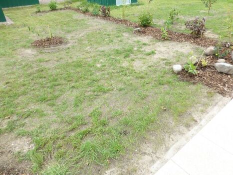 der kleine Gartenanteil wurde eingeheckt ;) und wartet nun auf Wasser