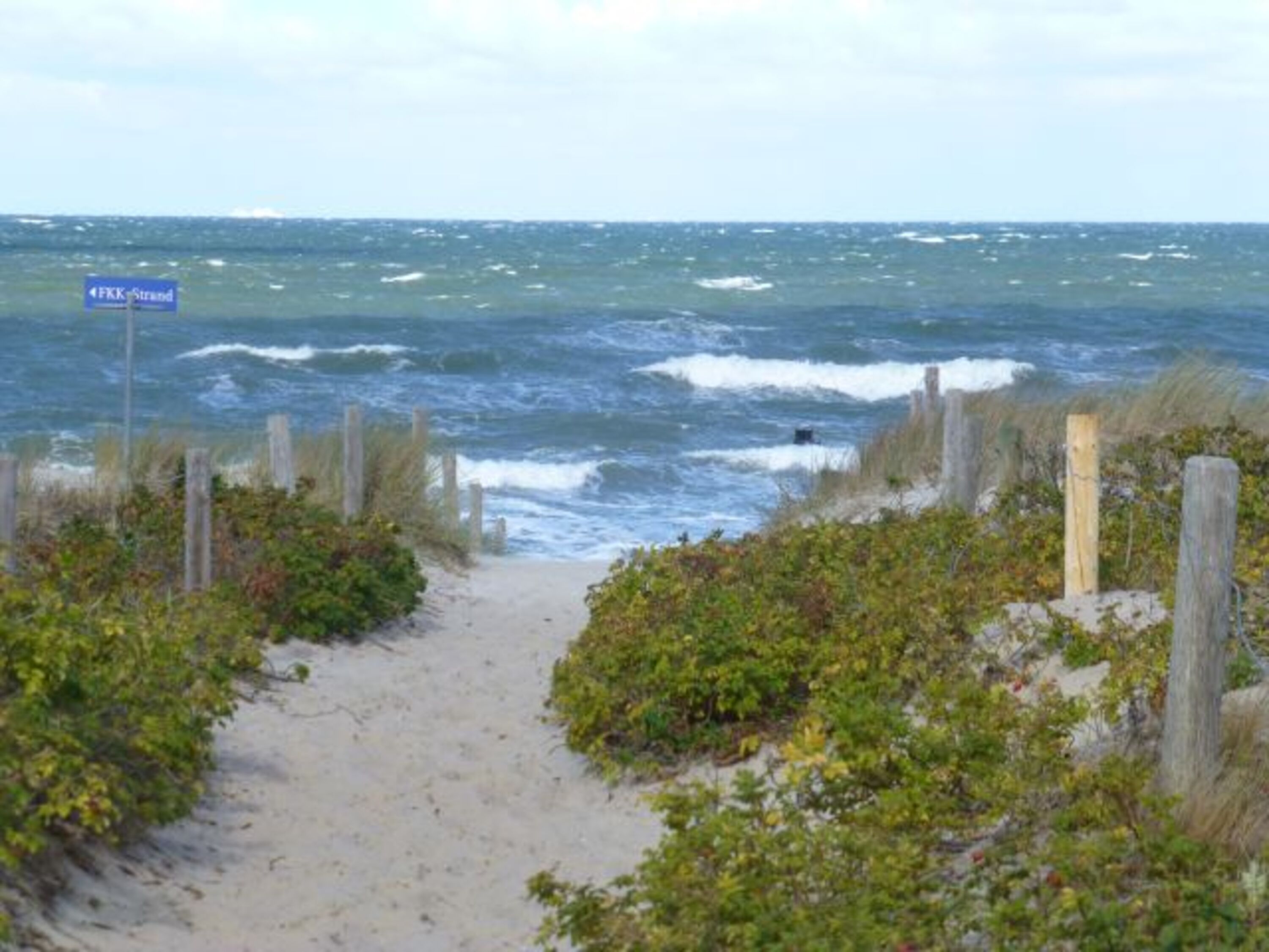 Strandaufgang direkt am Waldrand