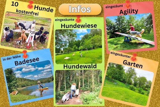 Brangs Hundeparadies Eifel- Unsere besonderen Hunde-Attraktionen