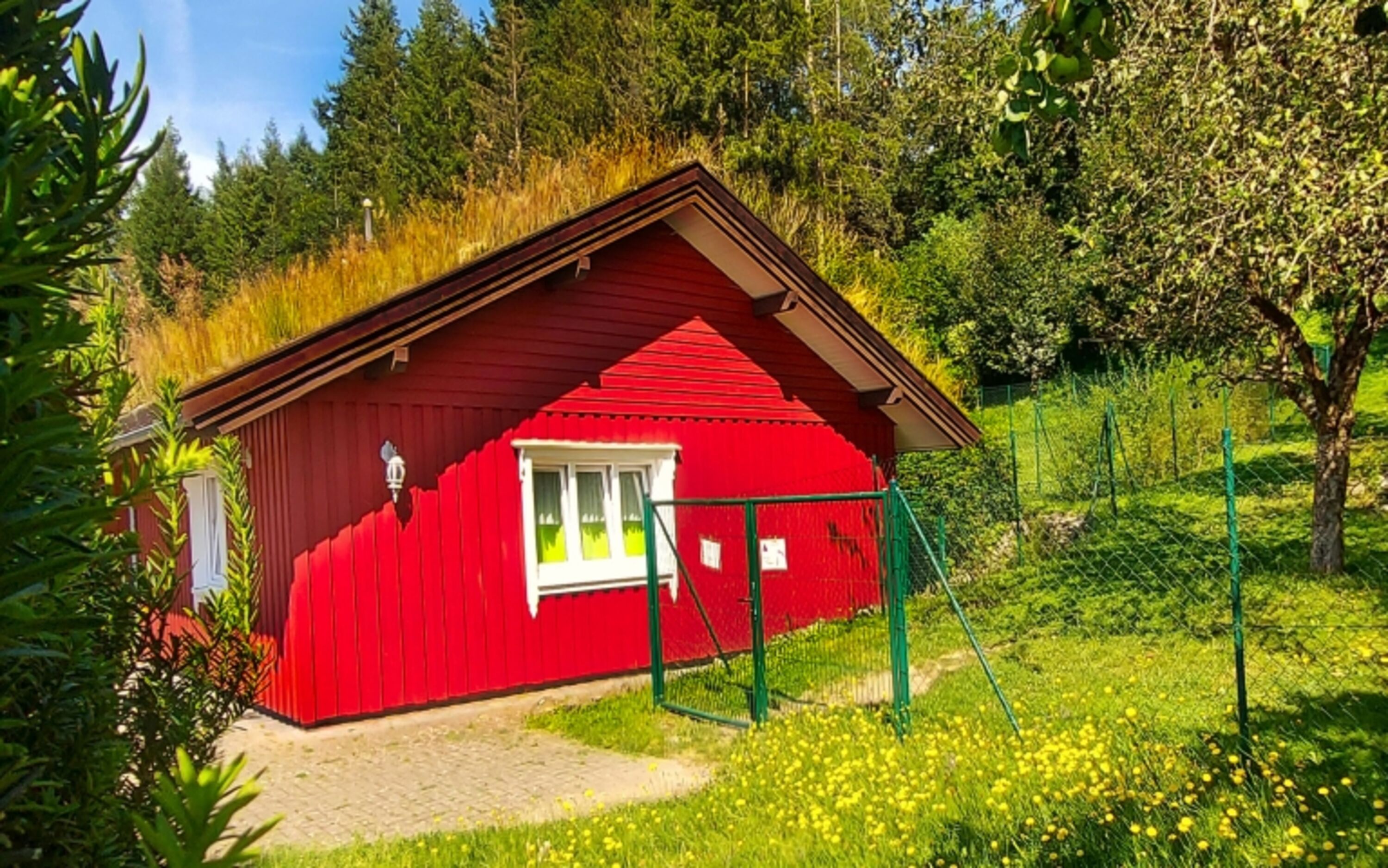 Bild 17