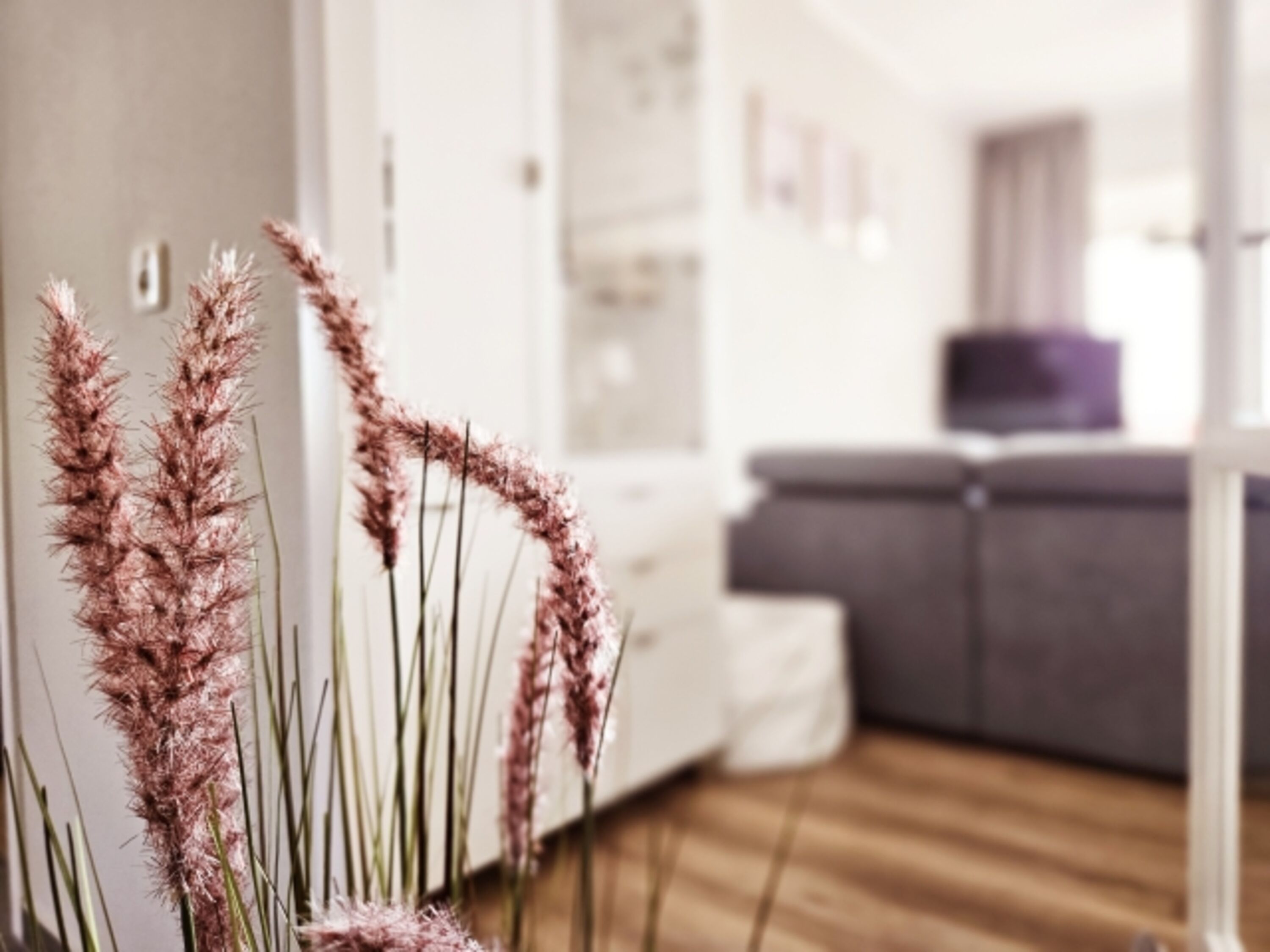 Inselloft Ameland