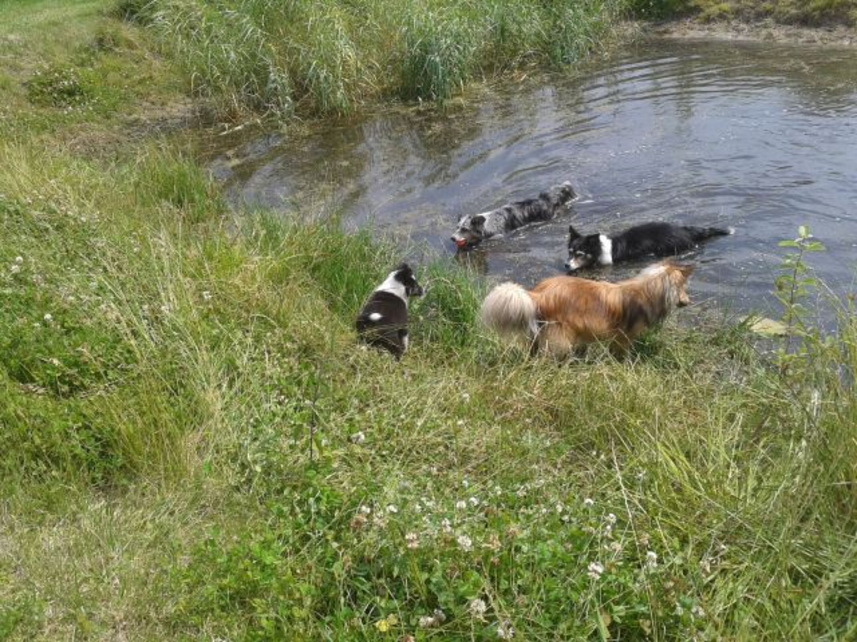 Bild 6