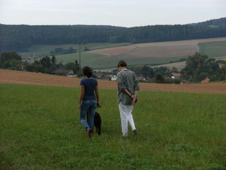Hundespaziergang bei der Haselburg