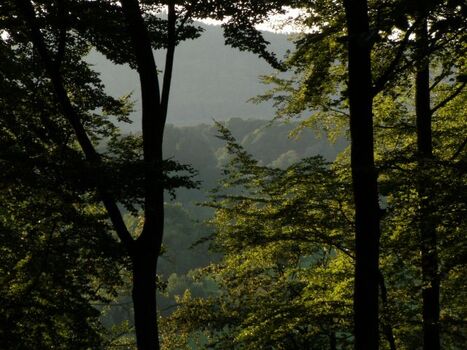 Wanderung im Lautertal