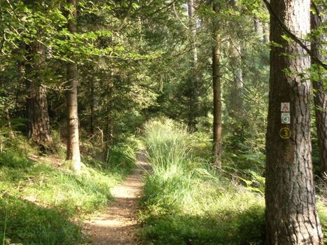 Wanderung im Mossautal