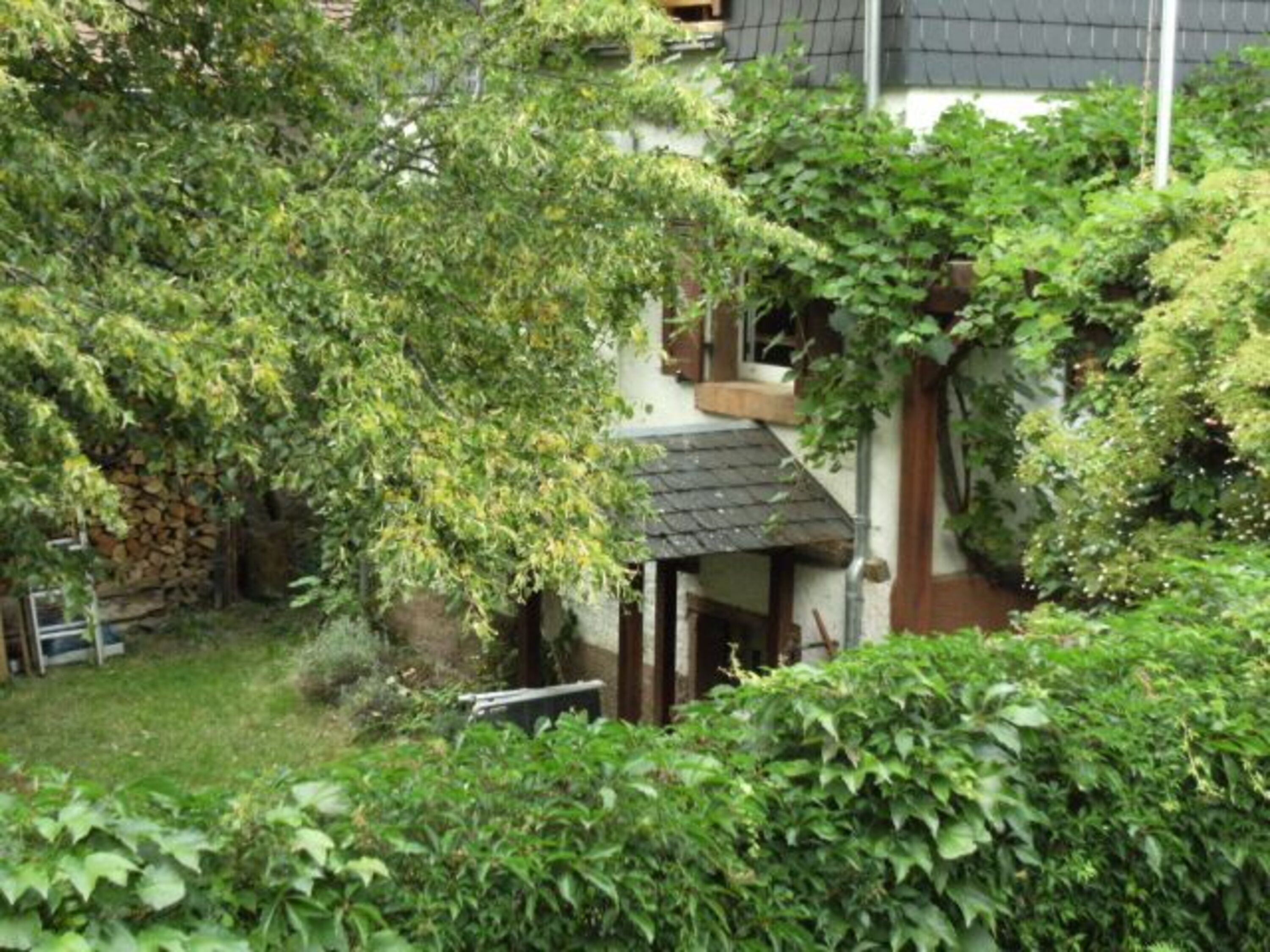 Blick in den Garten