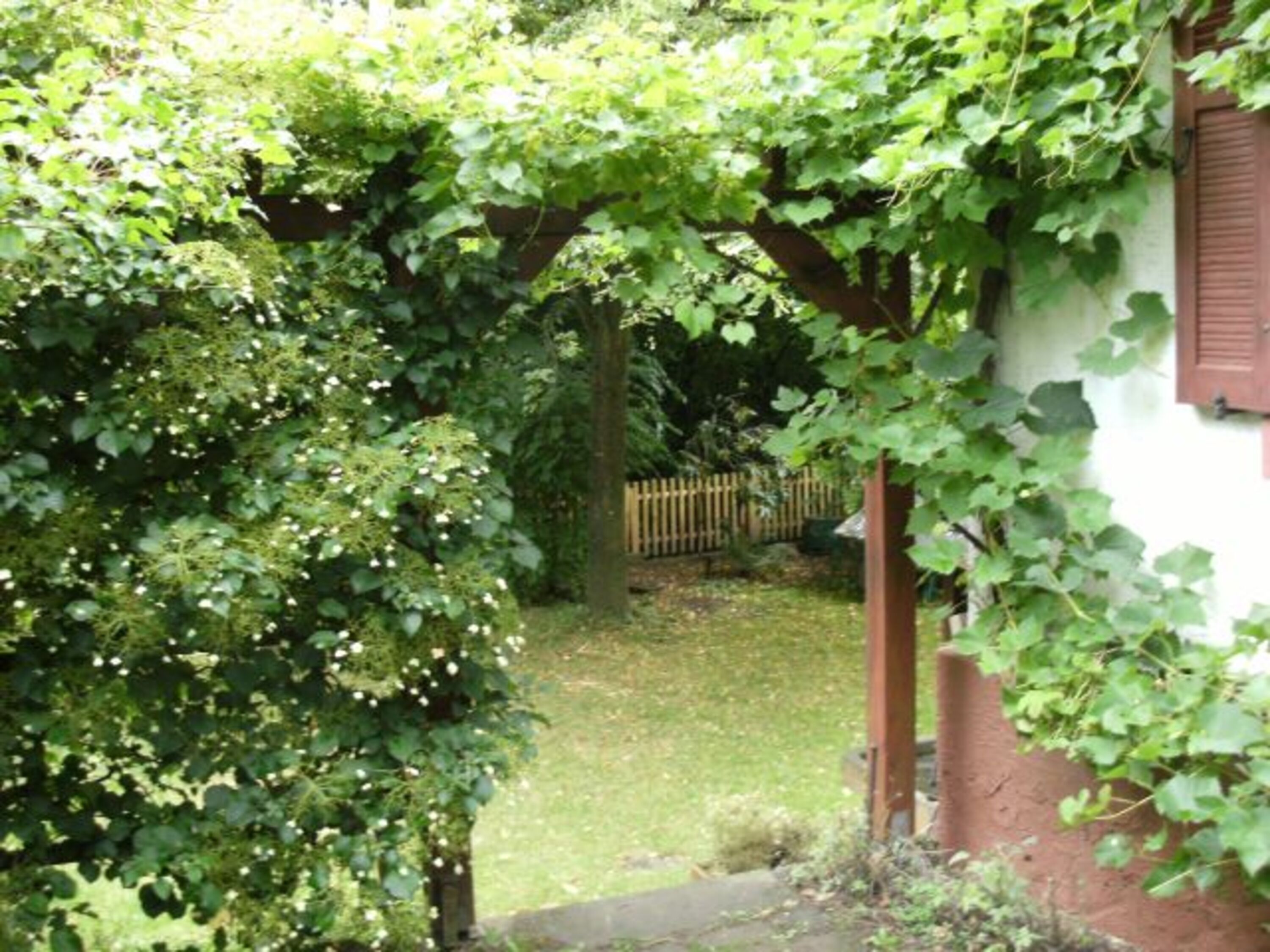 Blick in den Garten