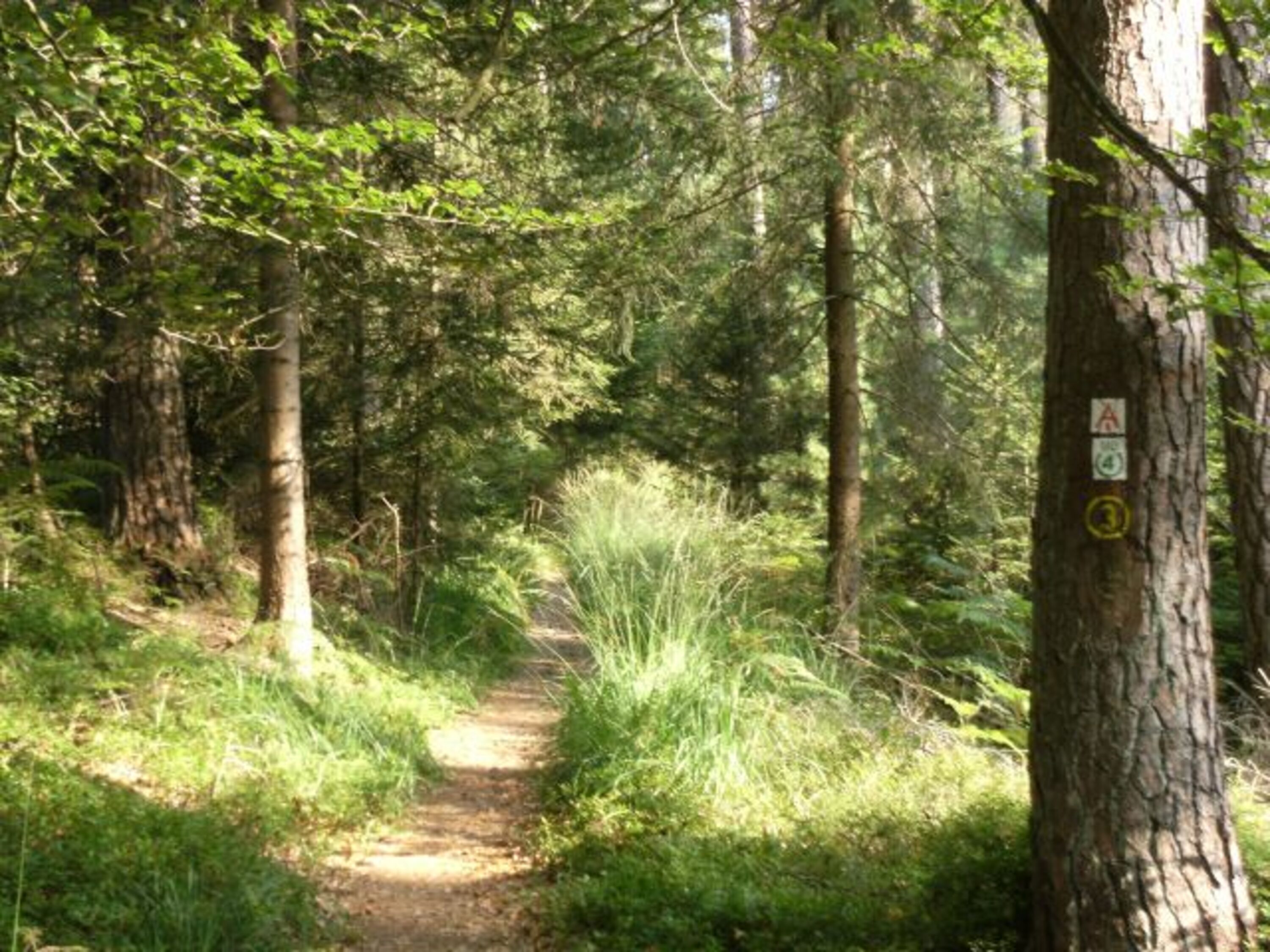 Wanderung im Mossautal