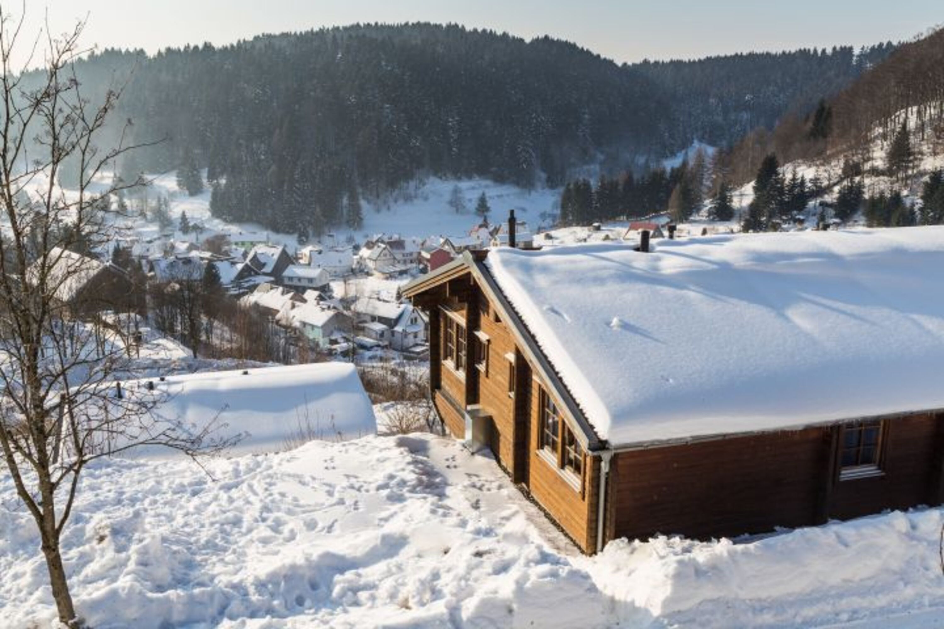 Bild 12