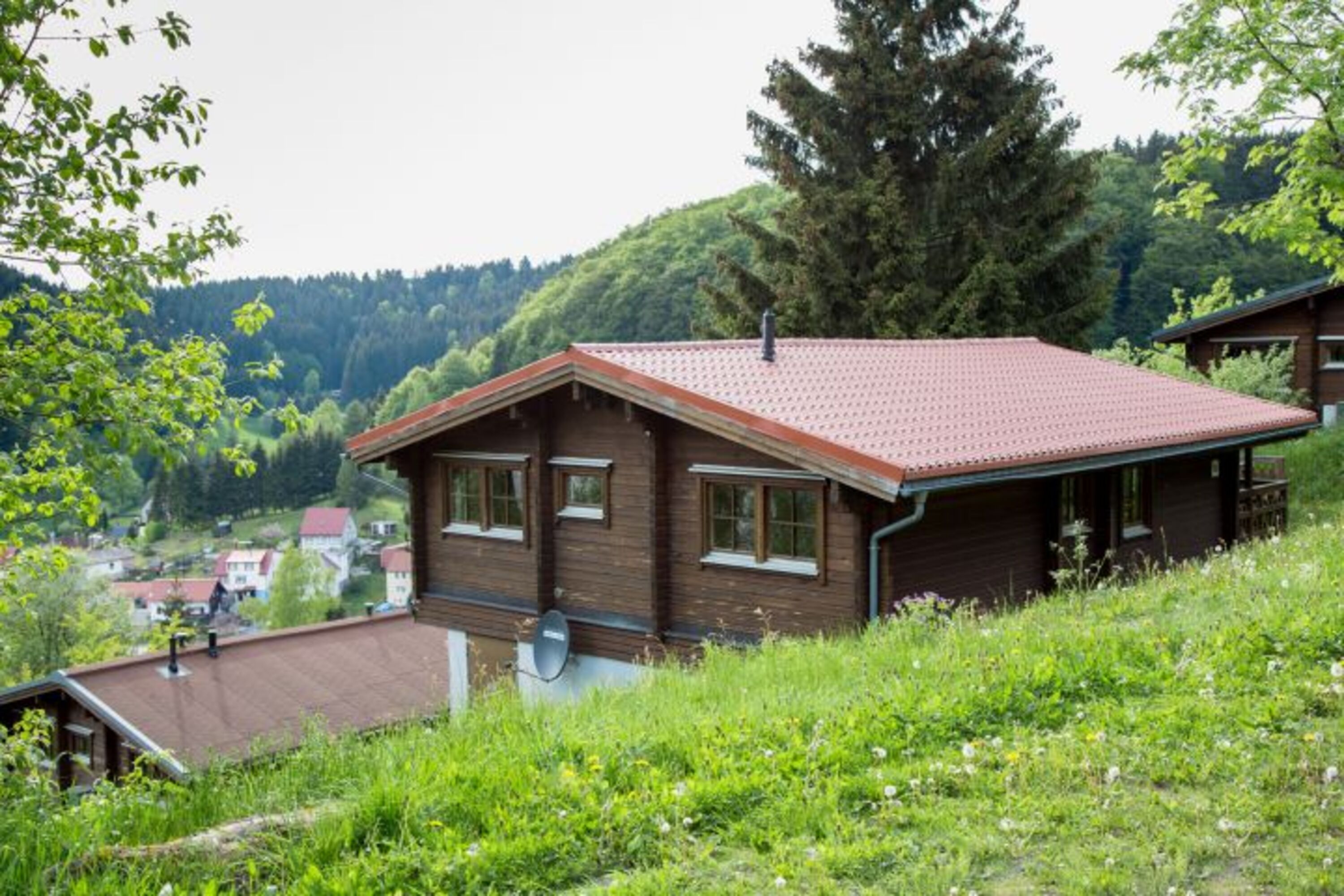 Bild 11