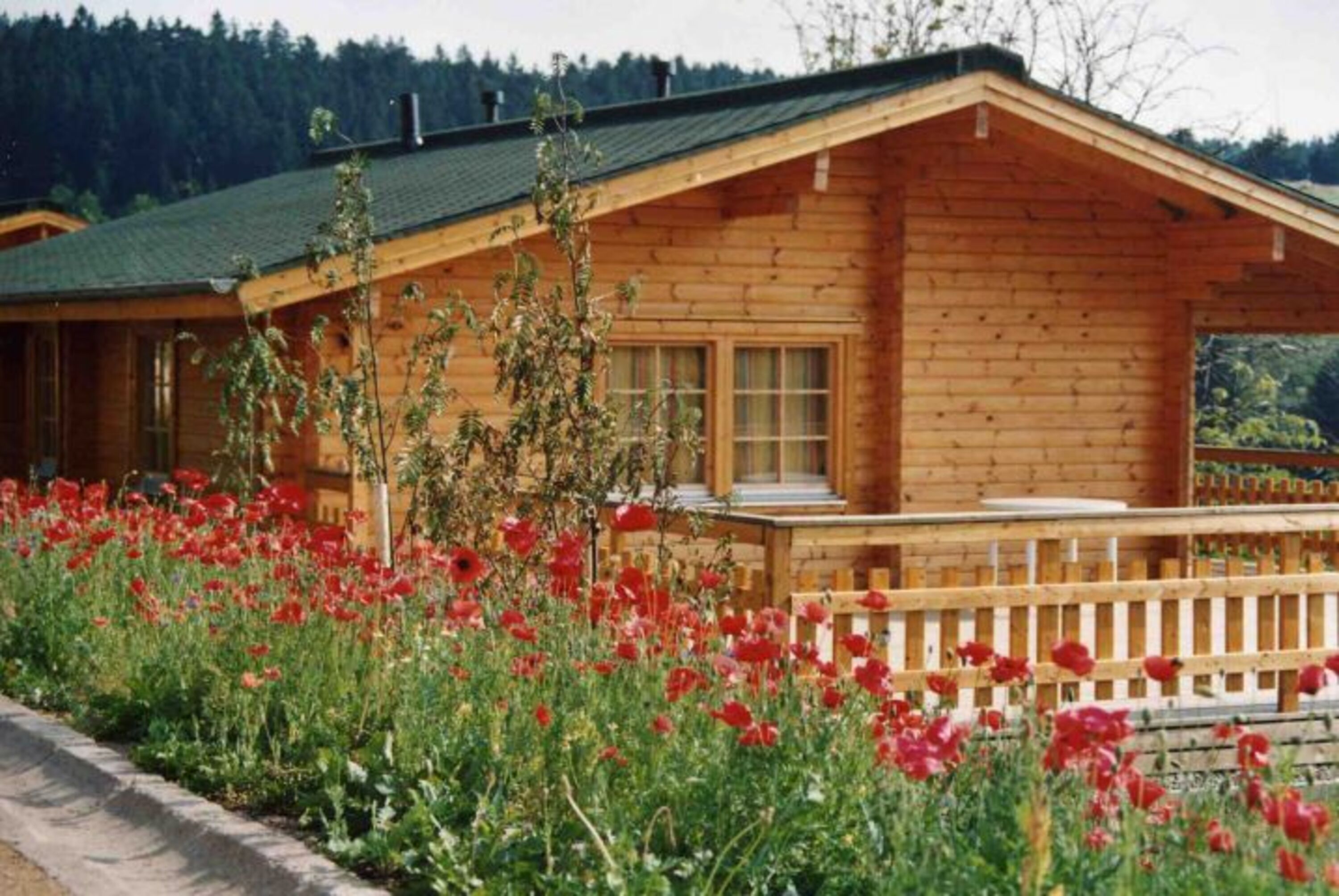 Bild 10