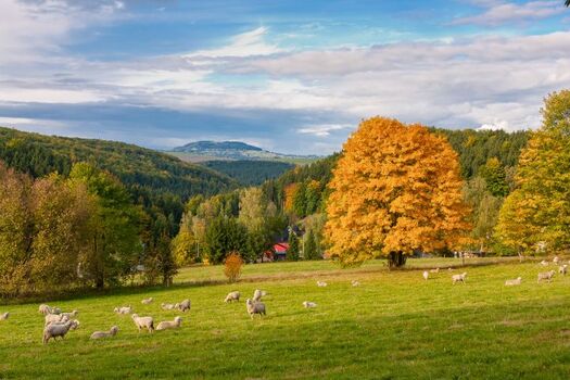 Herbst vor der Haustür