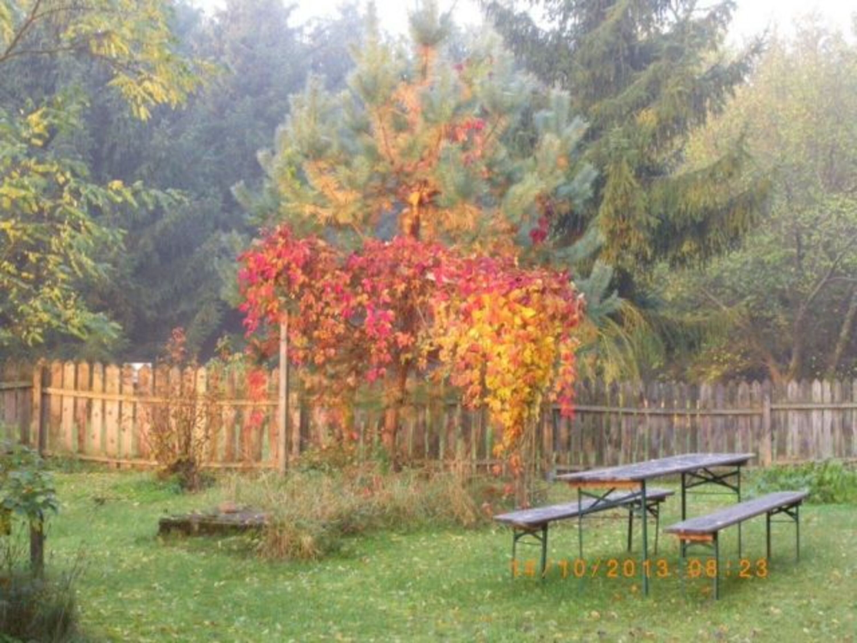 Bild 15