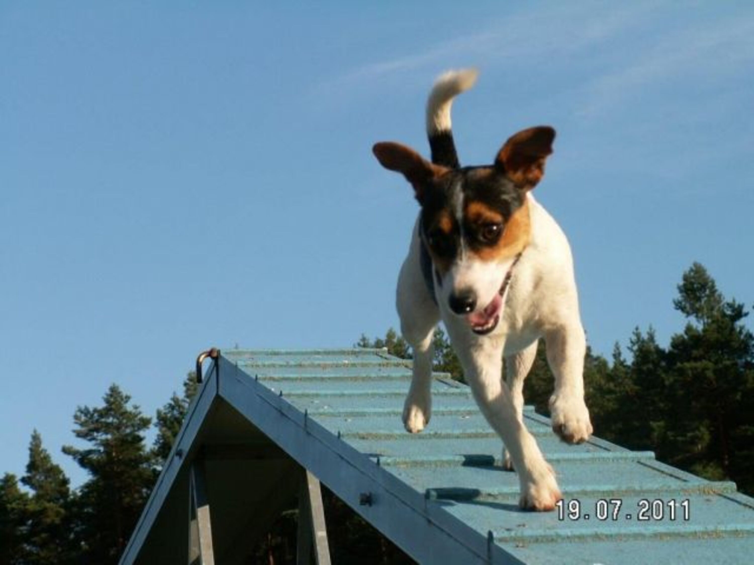 Bild 9