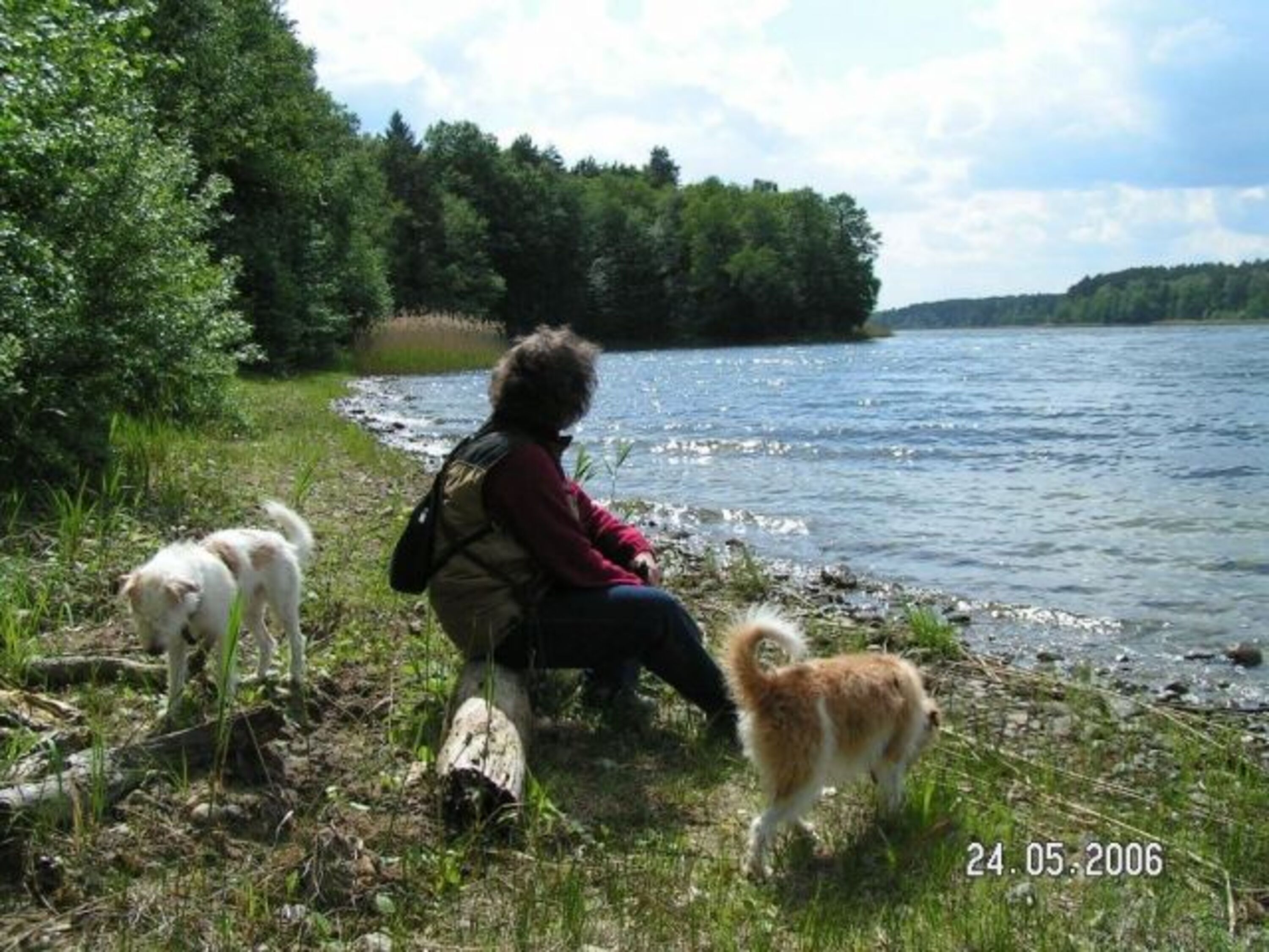 Bild 7
