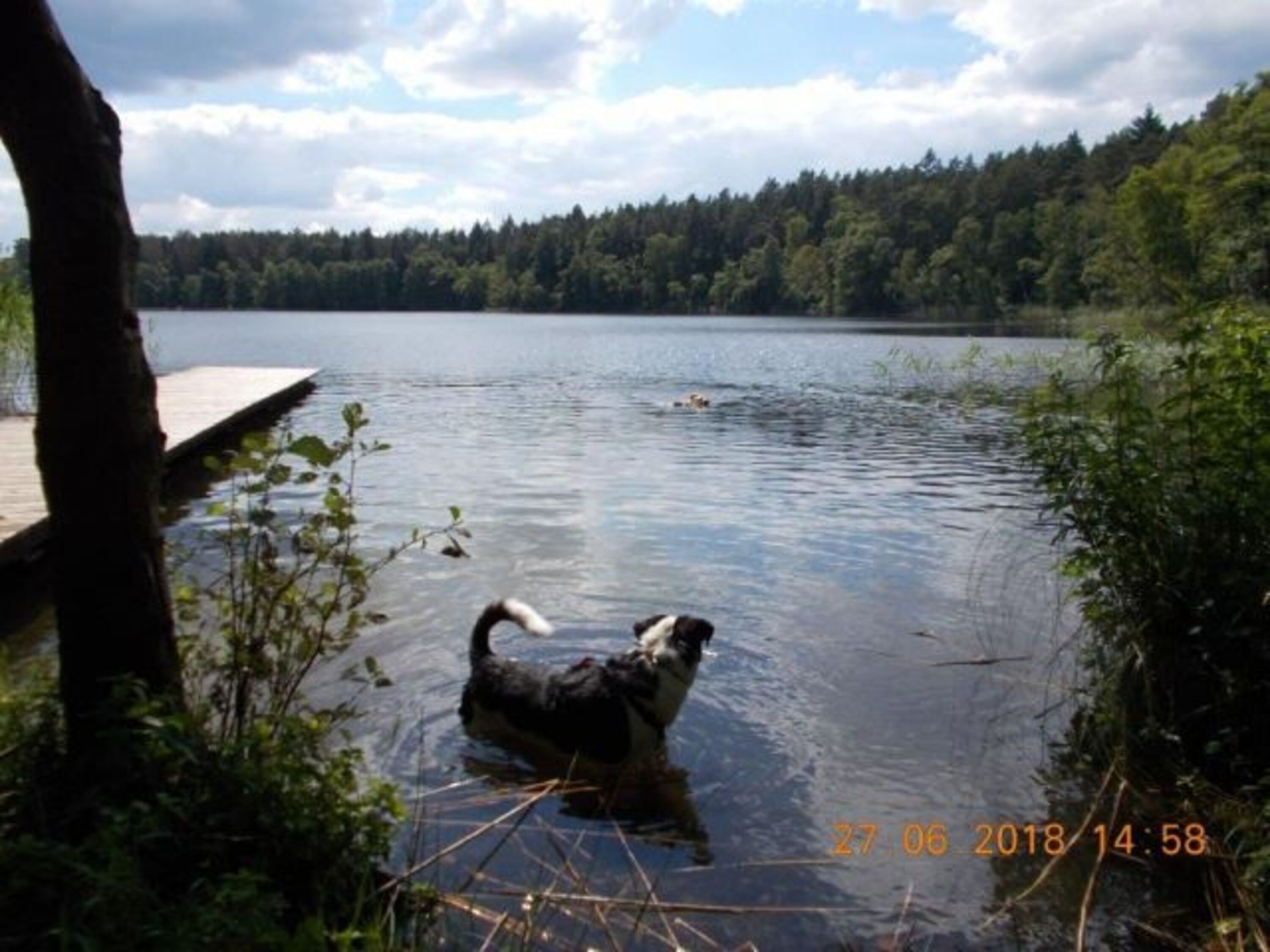 Bild 9