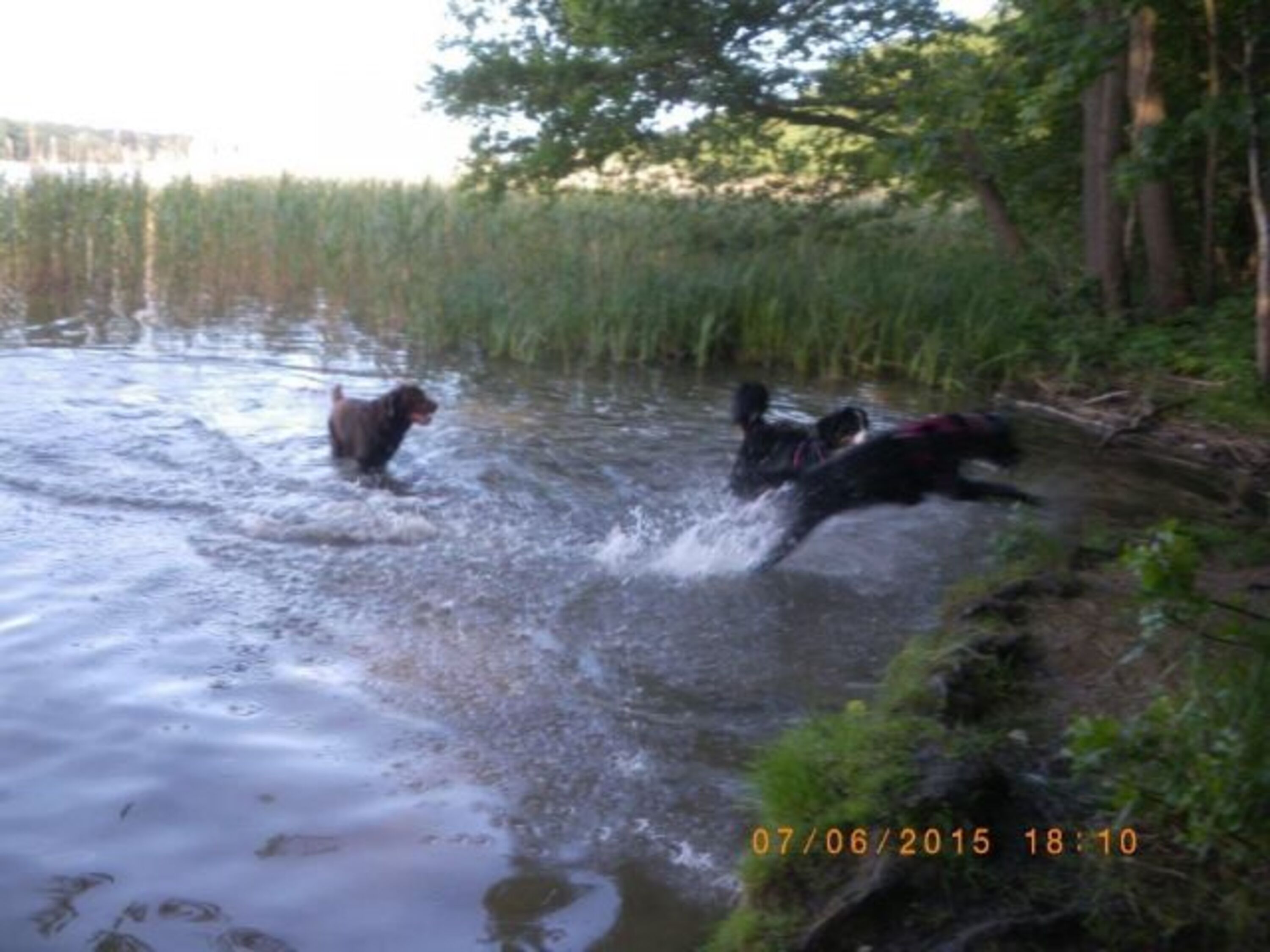 Bild 8