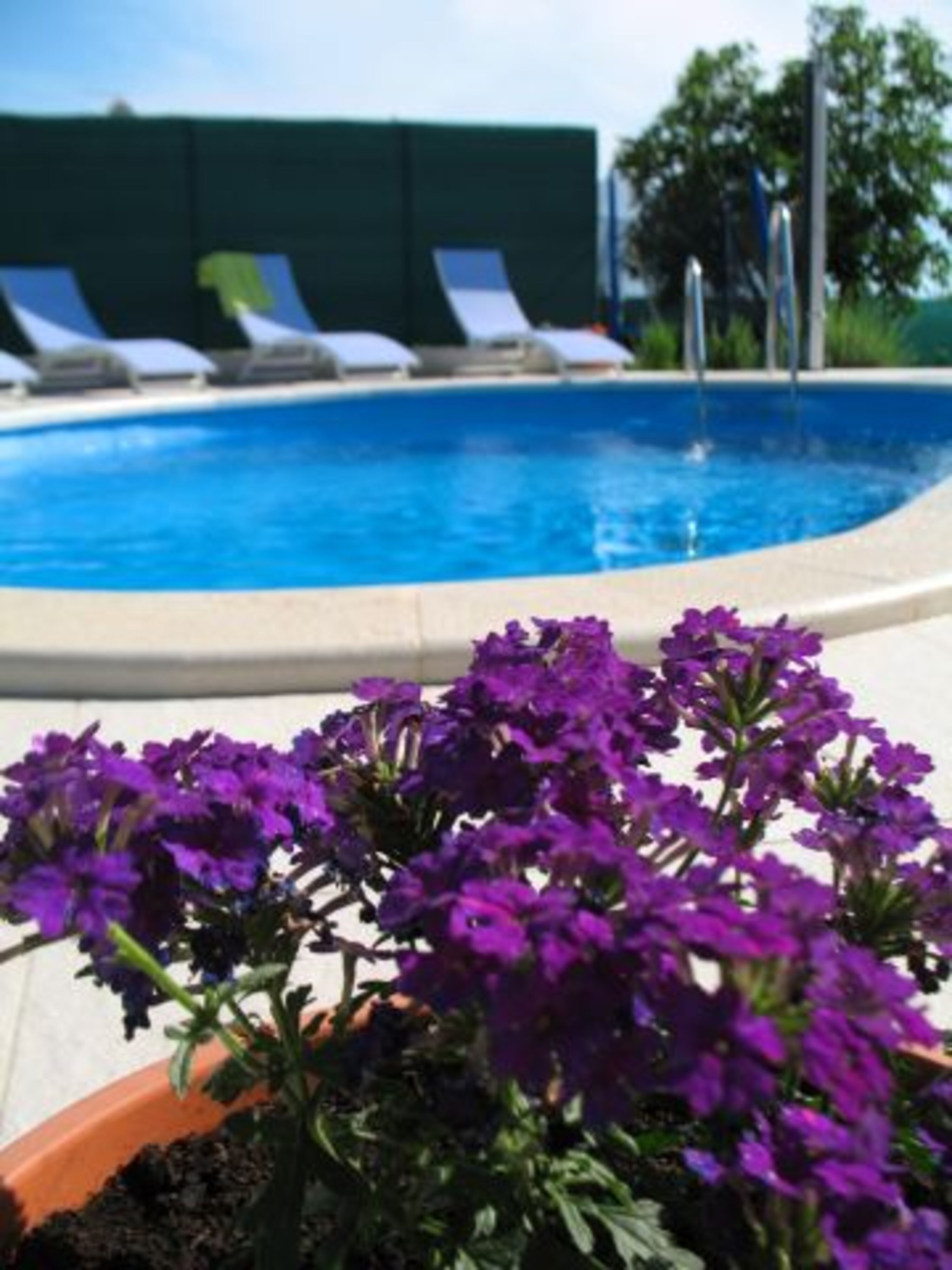 privater Pool