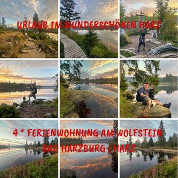 Galerie 1 vom wunderschönen Harz Ferienwohnung am Wolfstein Bad Harzburg / Harz
