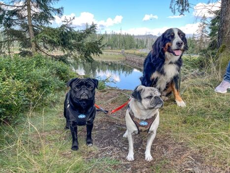 Gerne nehmen wir unsere Gäste mit auf topllen Touren und zeigen ihnen unsere schöne Heimat, gerne auch abseits der Massen