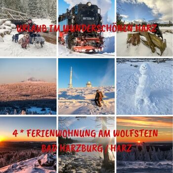 Galerie 3 vom wunderschönen Harz Ferienwohnung am Wolfstein Bad Harzburg / Harz