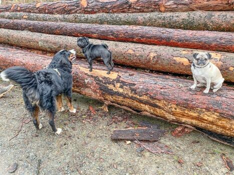 Gerne nehmen wir unsere Gäste mit auf topllen Touren und zeigen ihnen unsere schöne Heimat, gerne auch abseits der Massen