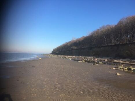 Strand und Steilküste Schwarzer Busch