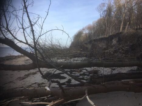 Steilküste Schwarzer Busch