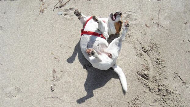 Wohl fühlen und entspannen